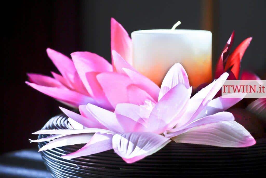 vela aromatica